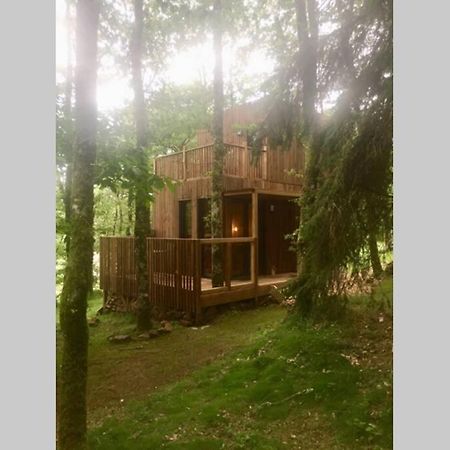 Adorable Cabane Dans Un Espace Boise Saint-Junien Εξωτερικό φωτογραφία